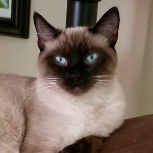 Meet your Posher, Carla